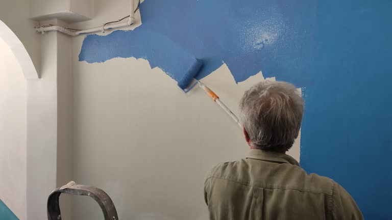 Best Fire-Damaged Drywall Repair  in Somerset, PA